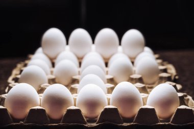 Siyah arka planda yumurtalar. Çiftçi organik ürünler. Doğal protein. Yakın çekim..