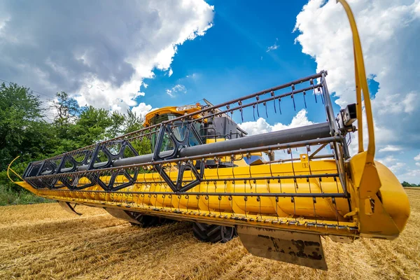 Landwirtschaftlicher Prozess Vor Ort Weizenfeld Und Gelb Verbinden Sich Ernteertrag — Stockfoto