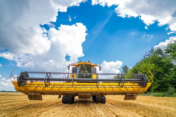 Anbauprozess Weizenfeld Schwere Technik Ländliche Landschaft — Stockfoto