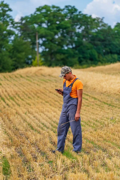 Людина Фермер Стоїть Полі Золотистою Пшеницею Концепція Сільського Господарства — стокове фото
