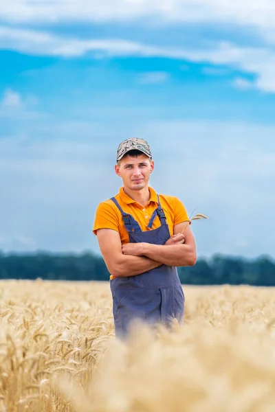 Фермер Пшеничном Поле Рабочим Комбайном Заднем Плане Голубое Небо — стоковое фото