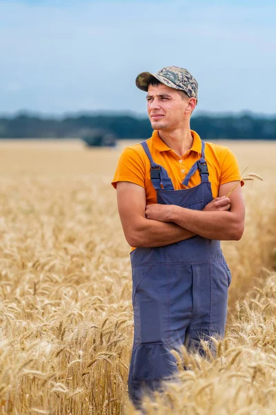 Joven Agricultor Atractivo Pie Campo Trigo Combine Cosechadora Trabajando Campo — Foto de Stock