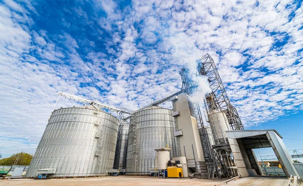 Hasat Edilmiş Tahıllı Endüstriyel Tarım Asansörleri Tahıl Kooperatifi Yakın Çekim — Stok fotoğraf