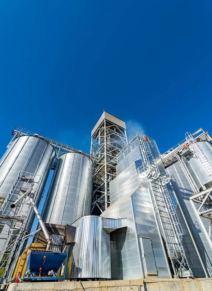 Fabrikadaki Metal Tahıl Asansörleri Tarım Ürünlerini Depolamak Için Modern Ekipman — Stok fotoğraf