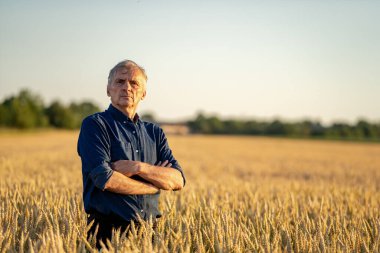 Kuru tarlada deneyimli çiftçi. Bulanık arka planda altın buğday tarlası. Bir tarlada gün batımı.
