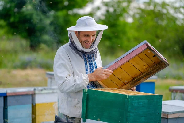 じんましんの上のオス養蜂家 男は男の頭の上に新しいじんましん保護帽子を構築します 背景がぼやけている ミツバチの概念 — ストック写真