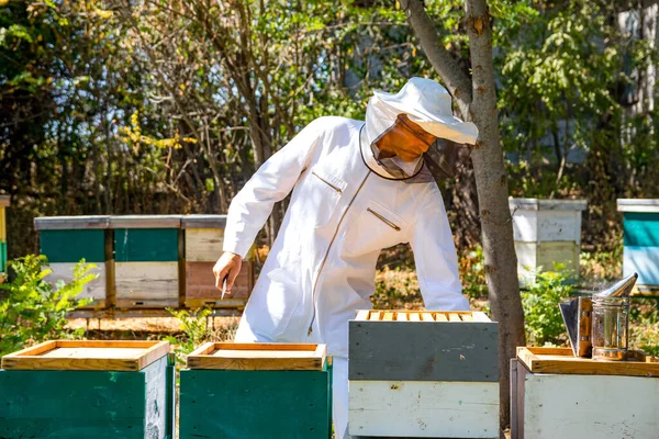 Apicoltore Lavora Sodo Controlla Gli Alveari Apiario Uomo Uniforme Bianca — Foto Stock