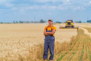 Büyük sarı tarlada çiftçi hasatçının önünde çapraz kollarıyla duruyor. Mavi ve sarı renklerin kombinasyonuyla güzel bir yer.