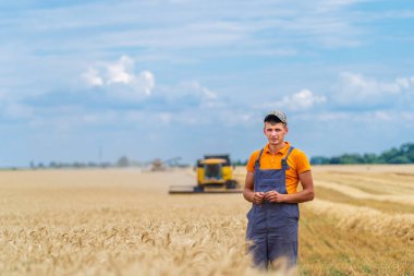 Hasat işçisiyle tarlada çalışan bir tarım işçisi. Altın buğday yetiştiren yakışıklı adam..