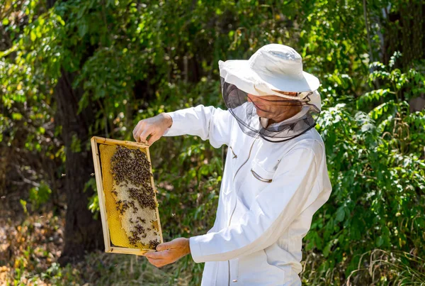 養蜂家のフレーム蜂蜜の完全な立っている ミツバチの蜂蜜を収穫するハンサムな男 — ストック写真