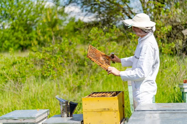 Bijenhouder Beschermingspak Die Met Honingraat Werkt Gele Bijenkorf Met Bijen — Stockfoto