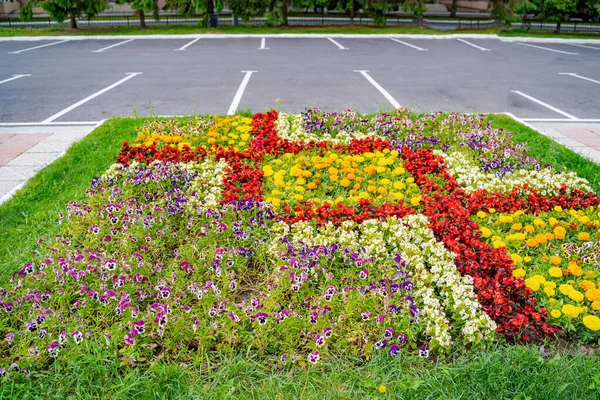 Sommerblumengärtnern Schöne Bunte Blumen Auf Dem Feld — Stockfoto