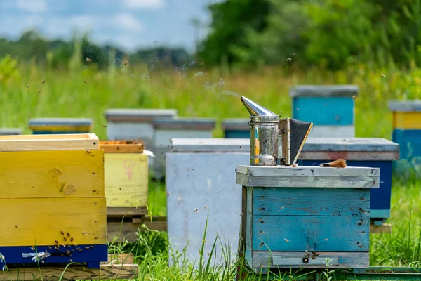 Εξωτερικός Εμετός Συγκομιδής Μελισσοκομία Φυσικό Καλοκαίρι Ξύλινα Κηρήθρα — Φωτογραφία Αρχείου