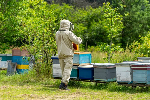 風景の上にミツバチを維持する 健康食品 — ストック写真