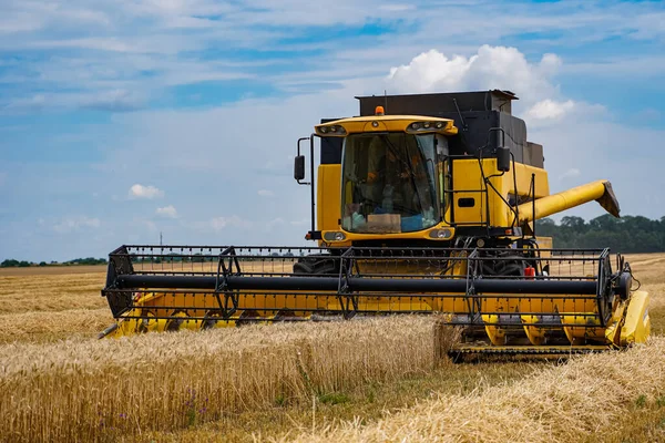 Gelb Kombiniert Landwirtschaftliche Landwirtschaft Sommerernte Mit Dem Großen Mähdrescher — Stockfoto