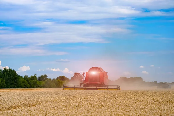 Rojo Grande Combina Trabajo Campo Cosechadora Agrícola Trigo —  Fotos de Stock