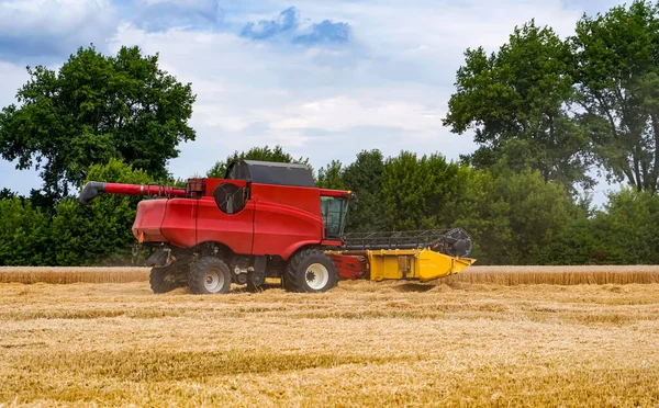 Cosechadora Agrícola Trigo Gran Combinación Roja Trabajando Campo —  Fotos de Stock