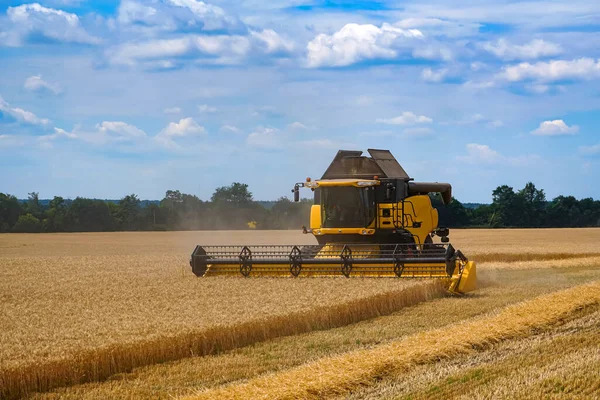 Großer Kombinierer Bei Der Arbeit Auf Einem Feld Weizenernte Mit — Stockfoto