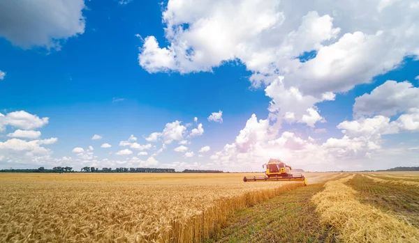 Visão Completa Comprimento Ceifeira Colheitadeira Trigo Maduro Uma Fazenda Campo — Fotografia de Stock