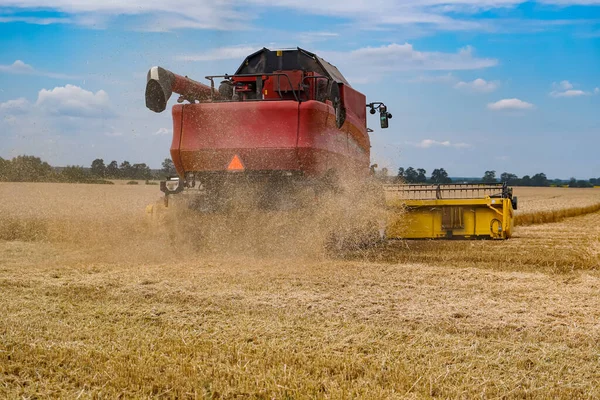 Buğday tarlasında hasat işliyor. Tarlalardan olgun mahsulleri toplama süreci. Tarımsal teknisyen. Özel teknisyen iş başında. Ağır makineler