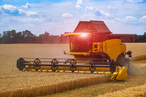 Schwere Technik Weizenfeld Während Des Sonnigen Tages Gelbe Mähdrescher Ernten — Stockfoto