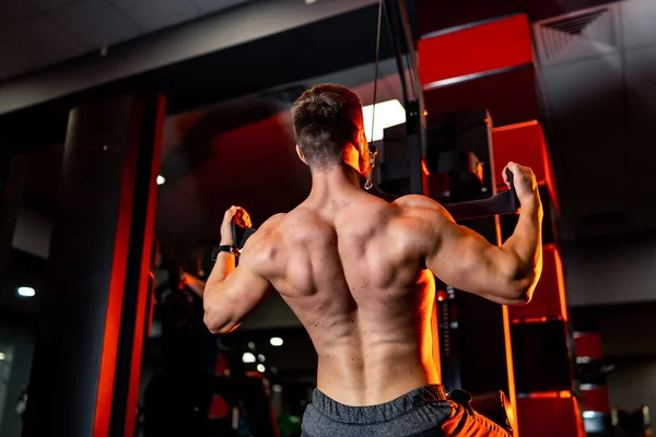 Starker Gutaussehender Mann Der Seinen Rücken Trainiert Bodybuilder Athlet Trainiert — Stockfoto