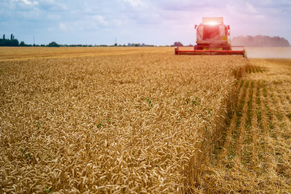Combine harvester in action on the field. Combine harvester. Harvesting machine for harvesting a wheat field concept