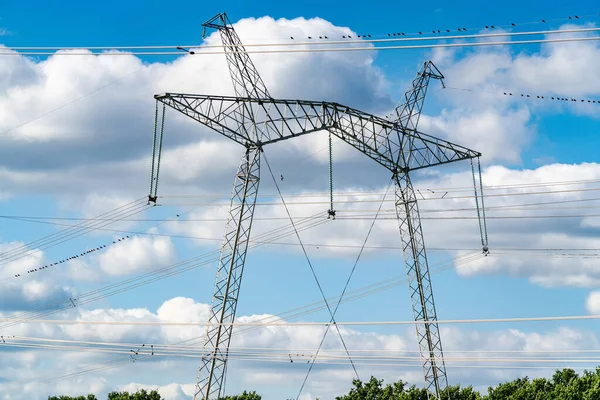 Power Line Countryside Blue Sky Green Trees Bottom View Technologies — Stock Photo, Image