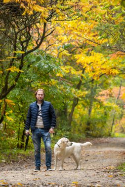 Güneşli bir günde labradoruyla parkta poz veren yakışıklı bir adam. Tam uzunluk görünümü