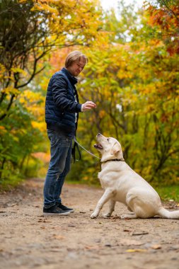 Yerde oturan güzel bir golden retriever 'ın portresi. Parkta duran yakışıklı bir gencin tam boy portresi.