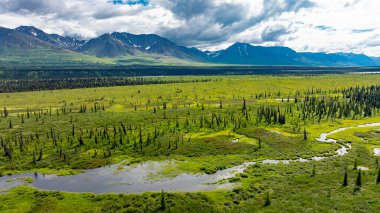 Alaska tundra arazisinin hava soyut dokusu. Alaska tundra manzarasının yukarıdan aşağıya, eşsiz doğal dokusu ve kıvrımlı sarı yosun desenleriyle..