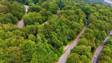 Romanya 'daki yoğun Karpat ormanlarından geçen kıvrımlı bir yol. Romanya 'nın Karpatya Dağları' ndaki yoğun yeşil ağaçlarla çevrili dolambaçlı asfalt bir yolun hava aracı görüntüsü.