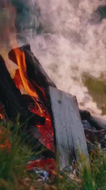 Yangında yanan dallar. Doğada yanan şenlik ateşinin parlak alevi