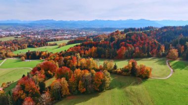 Etrafı renkli ağaçlarla çevrili yeşil çayırlar. Güzel bir sonbahar gününde kırsal kesimde insansız hava aracı görüntüleri..