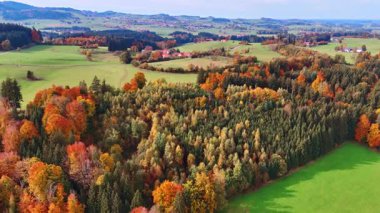 Sonbaharda doğanın muhteşem güzelliği. Kırsal kesimdeki güzel renkli ormana yaklaşıyoruz. Hava perspektifi.