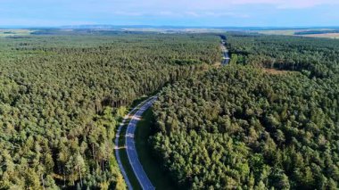 Otoyol, uçsuz bucaksız çam ağacı ormanını geçer. Kırsalda büyüyen ağaçların üzerinden insansız hava aracı uçuşu.