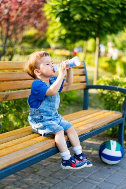 Yürümeye başlayan çocuk, topu bankın yanında duruyor. Güneşli yeşillikte parkın kenarında duran topu tutan küçük çocuk