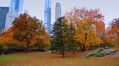 New York, ABD, 8 Ekim 2025: Sonbaharda parktaki güzel renkli ağaçlar. Bazı insanlar gündüz Central Park 'ın yanından geçerler. Arkaplanda gökdelenler.