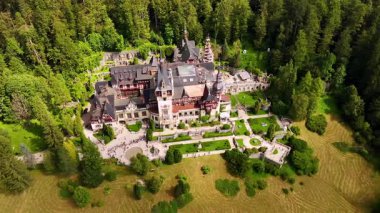 Güzel kalenin girişinin önünde uzun bir kuyruk var. Romanya 'nın Prahova İlçesi' ndeki muhteşem Peles Şatosu 'na hava perspektifi.