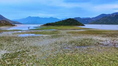 Nilüferlerle kaplı engin bir su manzarası. Küçük kayalık adaların yakınındaki çapada duran teknelere yaklaşıyoruz..