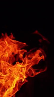 Yere doğru eğilen kırmızı tehlikeli ateş. Kamp ateşi siyah arka planda izole bir şekilde yanıyor. Kapatın. Dikey video