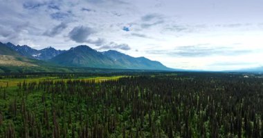 Yeşil vadideki engin çam ağacının üzerinde uçuyordu. Arka plandaki çıkıntılı dağlara doğru gidiyor. Alaska, ABD.