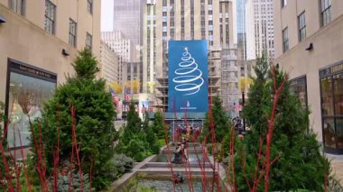 New York, USA, 6 November 2025: Beautiful green fir-trees growing around fountains in the street of New York, USA. Blue banner with a symbolic Christmas tree on the building at backdrop.