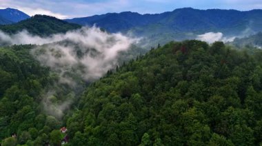 Flight over the mountains covered with beautiful lush greenery. Drone flight over the stunning nature of Romania. White fog rises above the woods.
