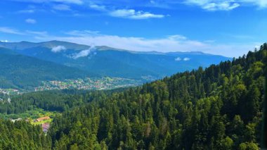 Panoramic view of forested mountain slopes. Dense green pine forests cover the hills leading down to a valley settlement under a blue sky.