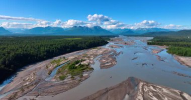 Going up over the wide shallow river in the thick woods. Amazing mountains under the fluffy clouds at backdrop. Nature of Alaska from drone footage.