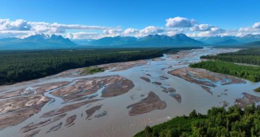 Flight over the stunning nature landscape of Alaska, USA. Drone footage over the wide delta of the shallow branching river flowing in the lush forests. Spectacular mountains at backdrop.