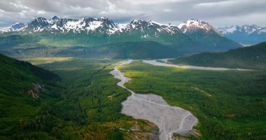 Green woods covering the valley crossed by the shallow river. Drone footage approaching the gorgeous snow-capped mountains under overcast sky. Alaska, USA.