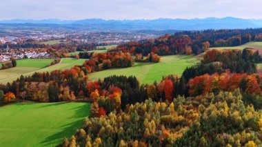 Vibrant red and yellow autumn foliage close-up. The sunny view captures the changing colors of the season.