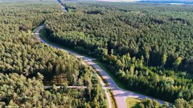 A curving asphalt road among endless pine plantations. A winding highway, laid through a thick, green coniferous forest, photographed from the air.